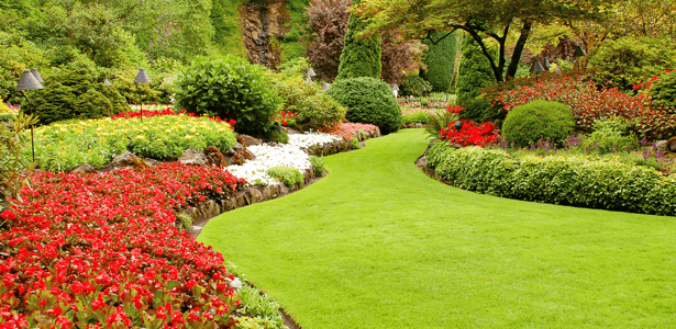 Your Guide to a Lush Landscape Garden image