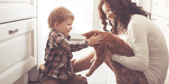 12 Things Every Pet Owner Needs in Their Home Mother and Child with Cat image