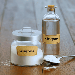 Your Home Essentials Cleaning Products Vinegar Image