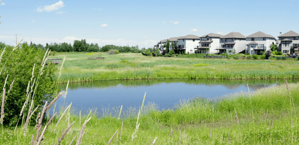 Edmonton's up-and-coming neighbourhoods community lake