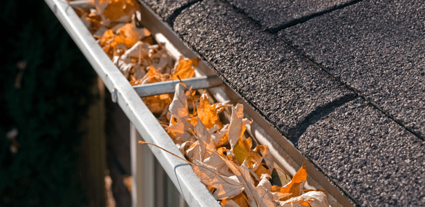 get-home-ready-for-spring-leaves-gutters.png