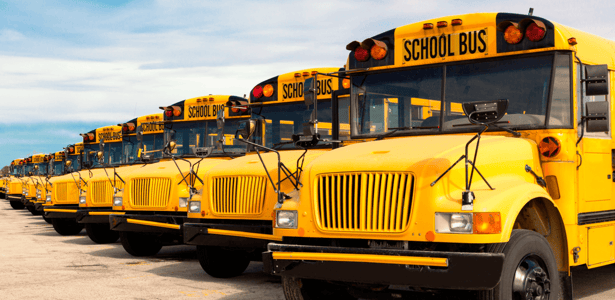 educational-options-edmonton-surrounding-school-buses.png