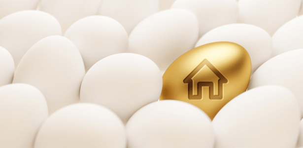 builder-incentives-to-look-for-golden-egg-house.png