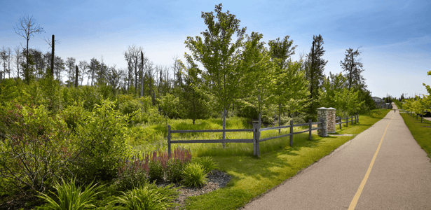 Love Your Community SummerWood in Sherwood Park Trail Featured Image