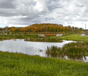 Cy Becker: One of Edmonton's Best New Communities Pond Image