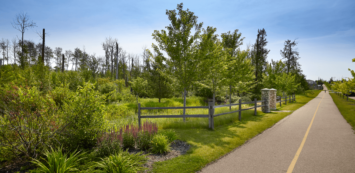 Love Your Community SummerWood in Sherwood Park Playground Image